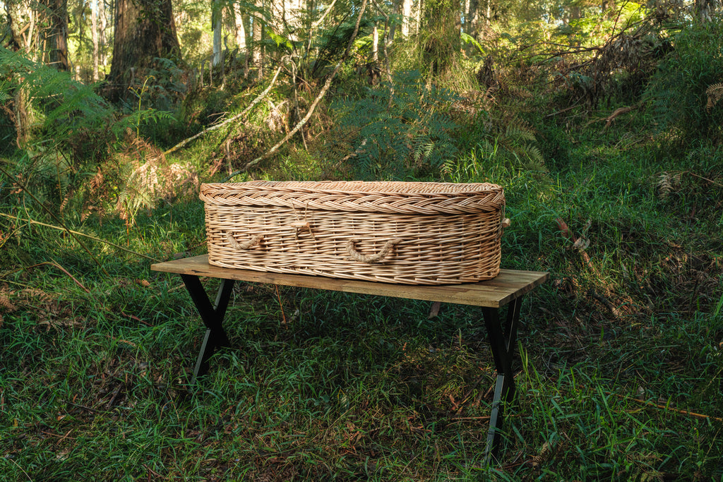 The Hummingbird Casket
