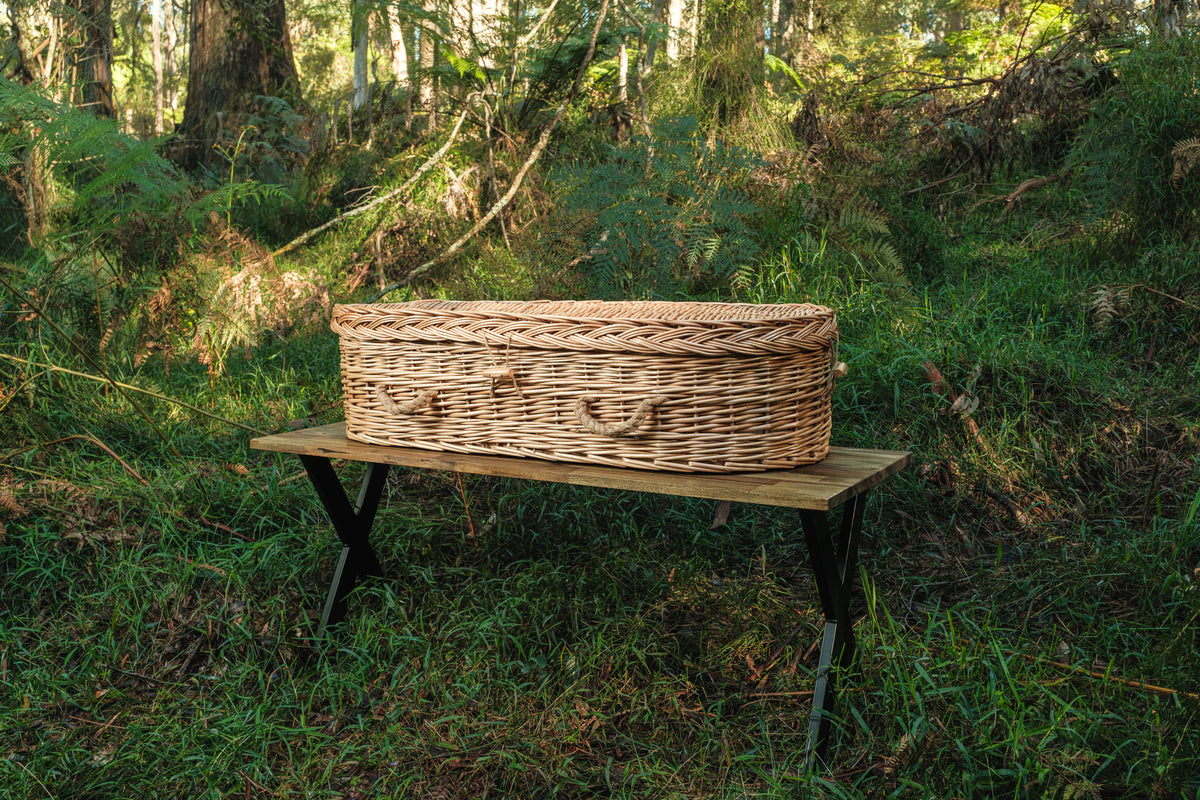 The Hummingbird Casket