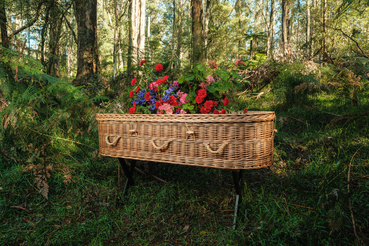 The Classic - Willow Casket